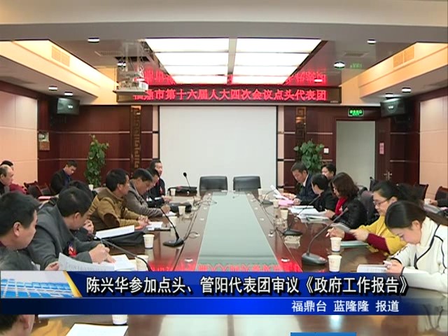 陳興華參加點頭、管陽代表團審議《政府工作報告》