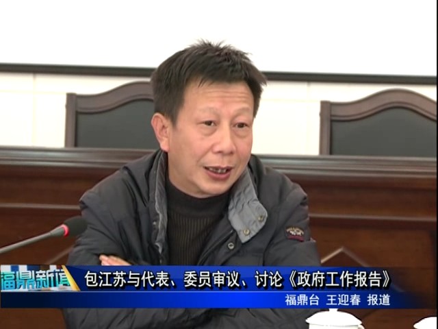 包江蘇與代表、委員審議、討論《政府工作報告》
