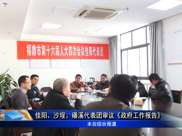 佳陽(yáng)、沙埕、磻溪代表團(tuán)審議《政府工作報(bào)告》