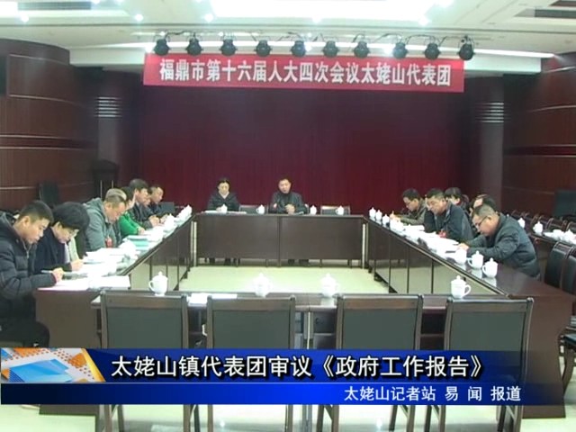 太姥山代表團審議《政府工作報告》