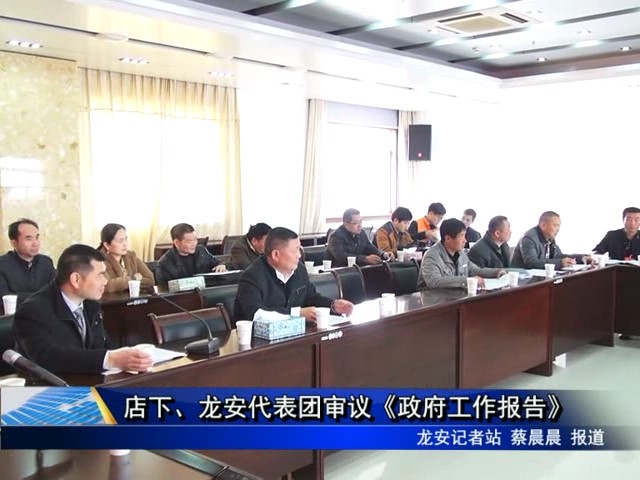 龍安、店下代表團(tuán)審議《政府工作報(bào)告》