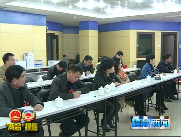 劉振輝參加太姥山、桐城、疊石、貫嶺、沙埕代表團(tuán)審議《政府工作報(bào)告》