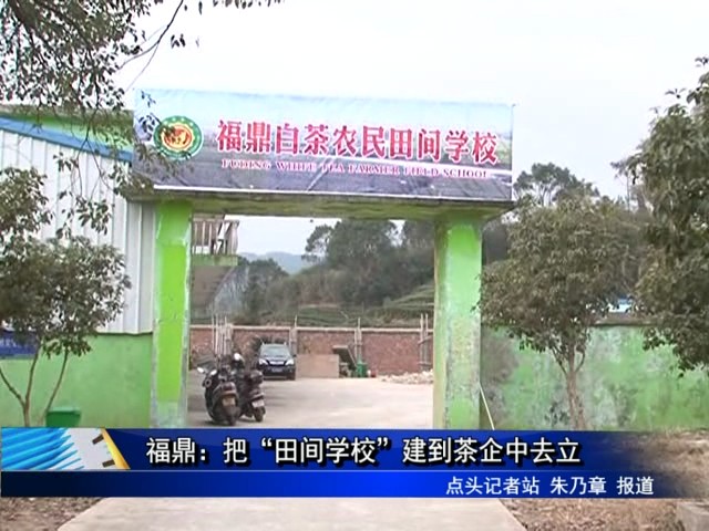 福鼎：把“田間學(xué)校”建到茶企中去