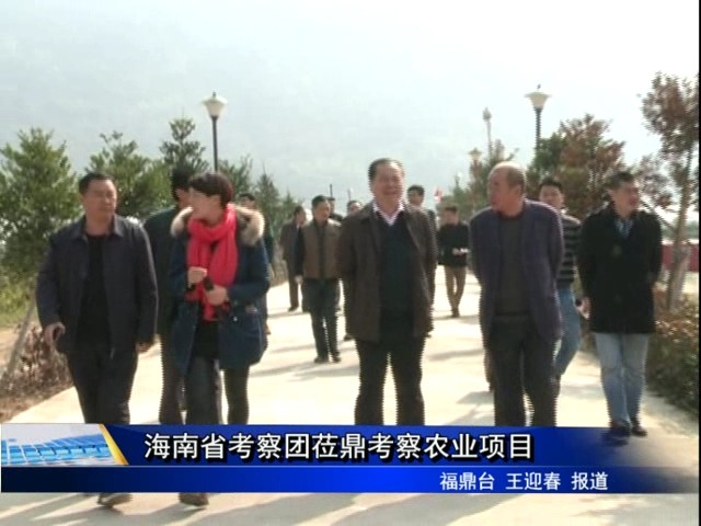 海南省考察團蒞鼎考察農業項目