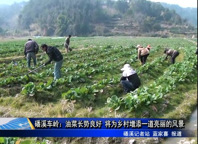 福鼎：普高聯動幫扶　促進教育均衡