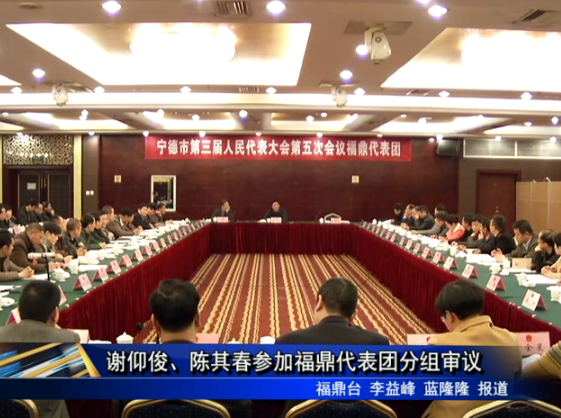 謝仰俊、陳其春參加福鼎代表團(tuán)分組審議