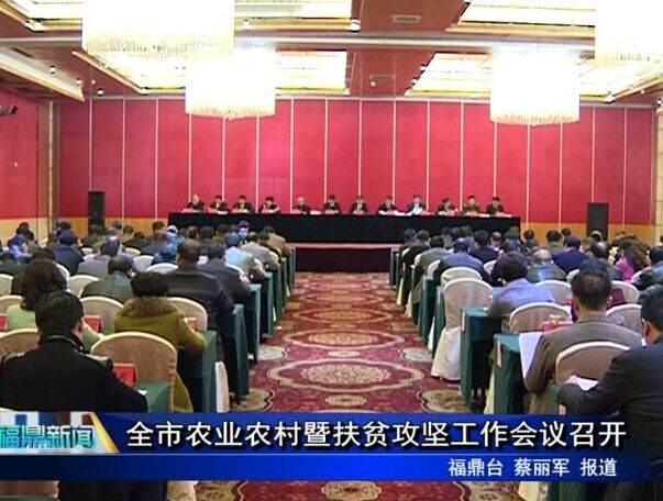 全市茶業工作會議召開