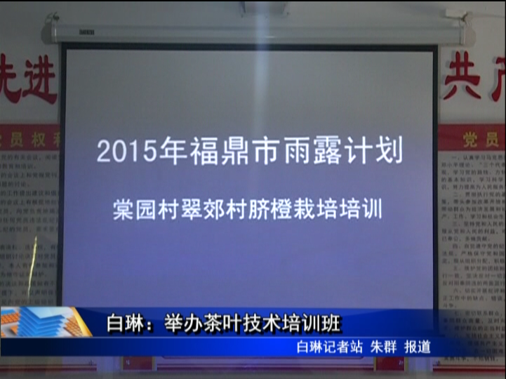 白琳：舉辦茶葉技術培訓班