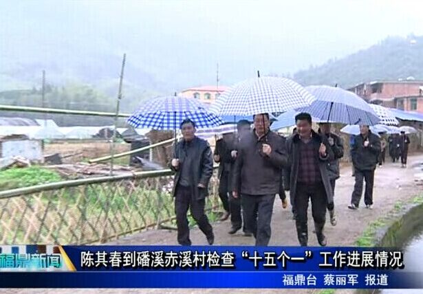 陳其春到磻溪赤溪村檢查“十五個一”工作進展情況
