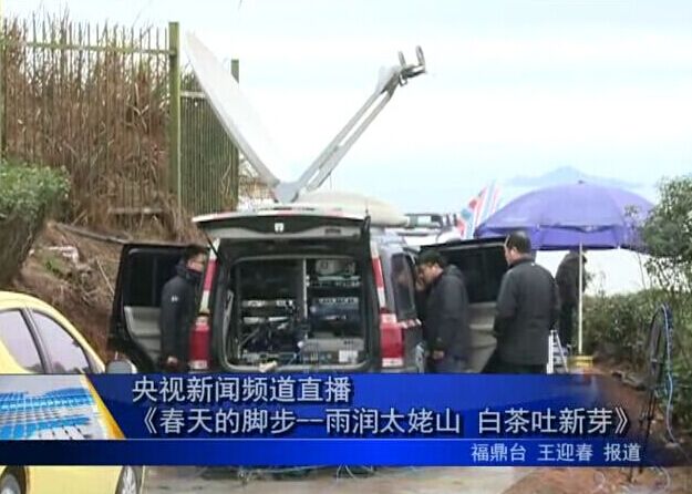 央視新聞頻道直播《春天的腳步—雨潤太姥山 白茶吐新芽》