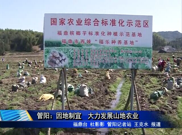 管陽：因地制宜　大力發展山地農業