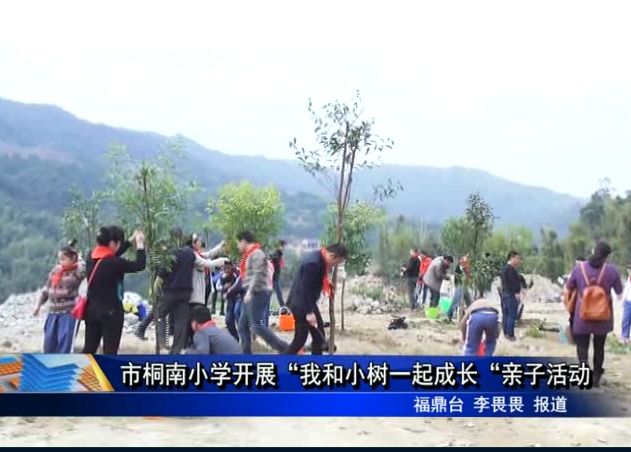市桐南小學開展“我和小樹一起成長“親子活動