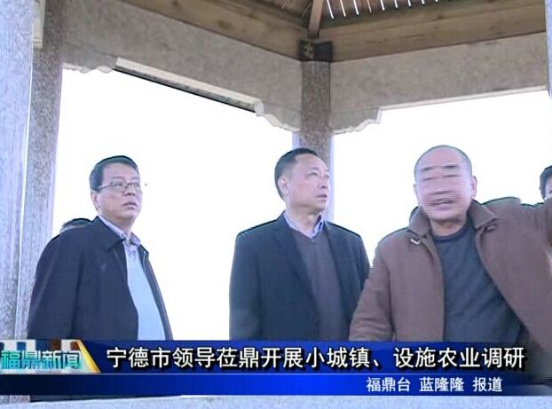 寧德市領(lǐng)導蒞鼎開展小城鎮(zhèn)、設(shè)施農(nóng)業(yè)調(diào)研