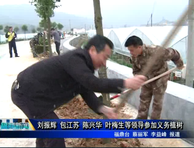 劉振輝 包江蘇 陳興華 葉梅生等領(lǐng)導參加義務(wù)植樹