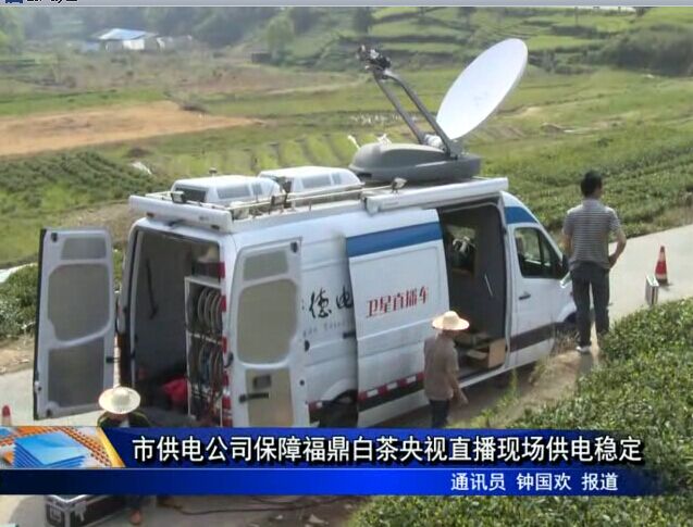 市供電公司保障福鼎白茶央視直播現場供電穩定