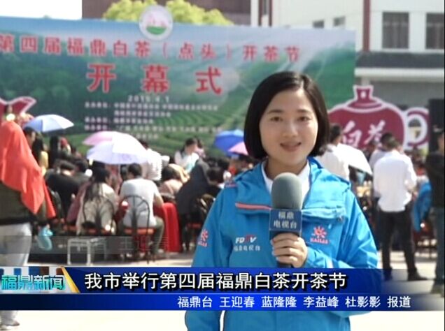 我市舉行第四屆福鼎白茶開茶節