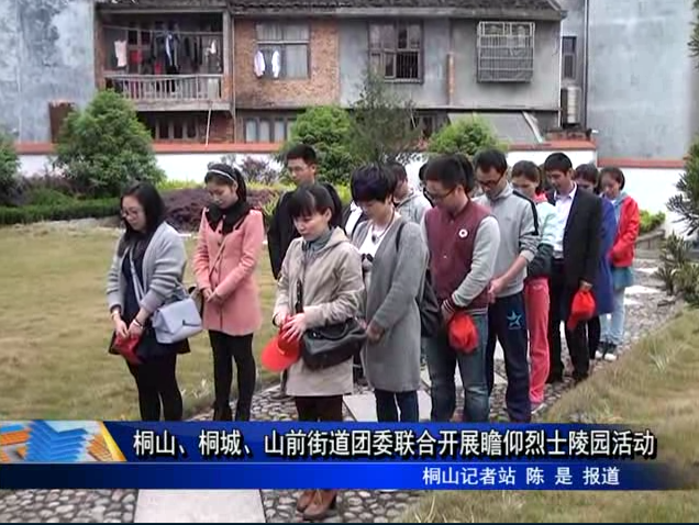 桐山、桐城、山前街道團委聯合開展瞻仰烈士陵園活動