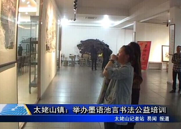 太姥山鎮(zhèn)：舉辦墨語池言書法公益培訓(xùn)