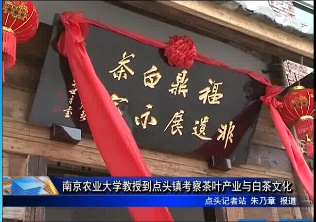 南京農業大學教授到點頭鎮考察茶葉產業與白茶文化