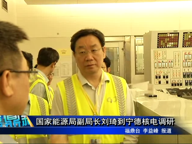國家能源局副局長劉琦到寧德核電調研