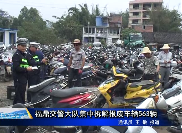 福鼎交警大隊集中拆解報廢車輛563輛