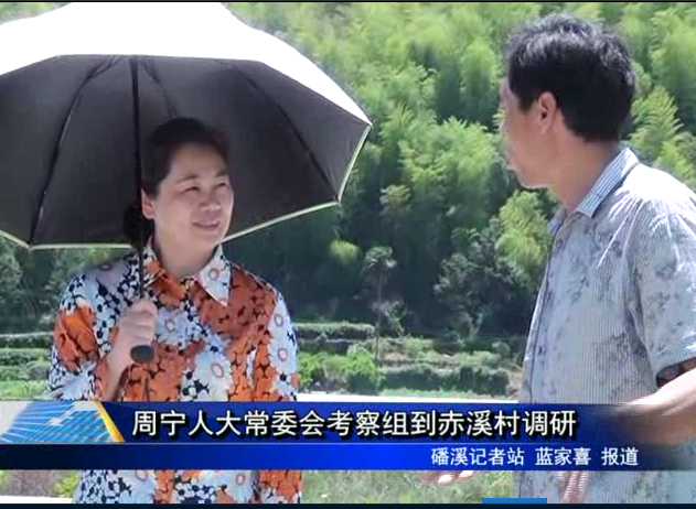 周寧人大常委會考察組到赤溪村調研