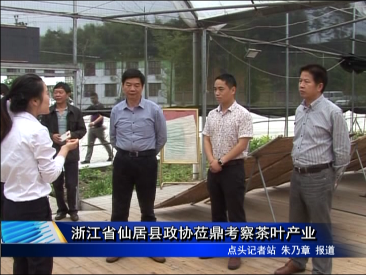 浙江省仙居縣政協蒞鼎考察茶葉產業