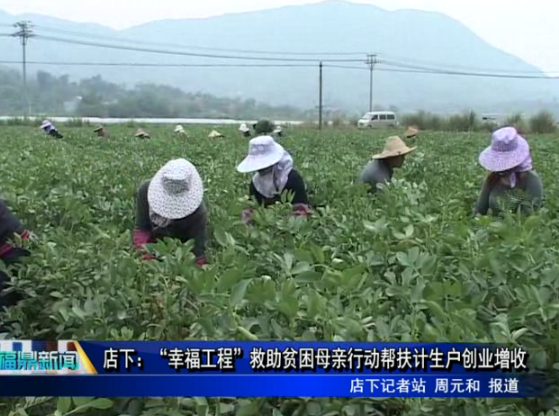 店下：“幸福工程”救助貧困母親行動幫扶計生戶創業增收