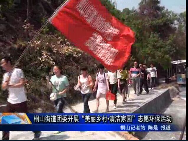 桐山街道團委開展“美麗鄉村?清潔家園”志愿環保活動