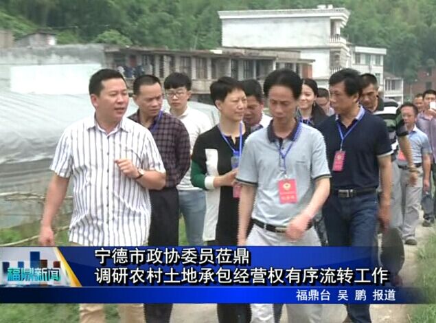 寧德市政協委員蒞鼎調研農村土地承包經營權有序流轉工作