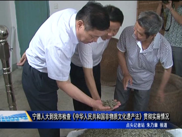 寧德人大到我市檢查《中華人民共和國非物質文化遺產法》貫徹實施情況