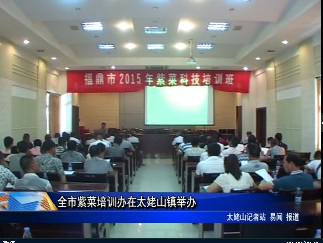 全市紫菜培訓辦在太姥山鎮舉辦