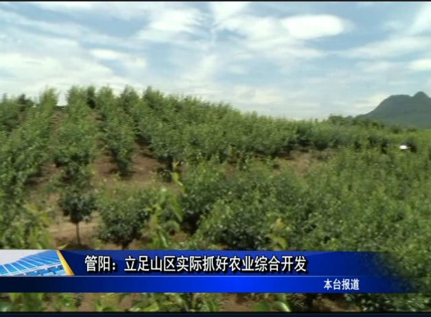 管陽：立足山區實際抓好農業綜合開發