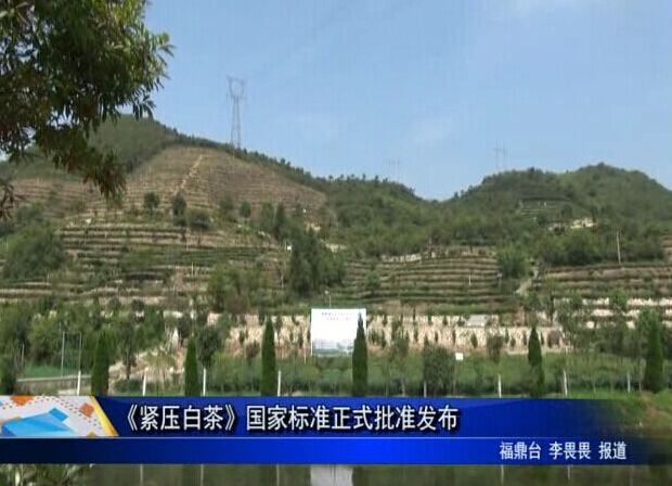 《緊壓白茶》國家標準正式批準發布