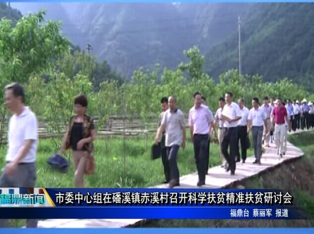 市委中心組在磻溪鎮赤溪村召開科學扶貧精準扶貧研討會