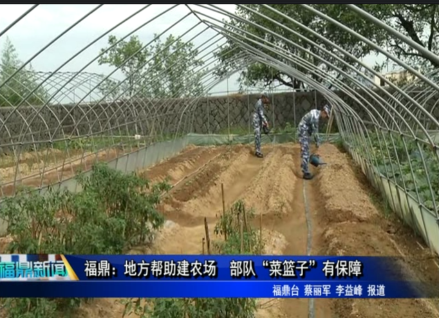 福鼎：地方幫助建農場 部隊“菜籃子”有保障