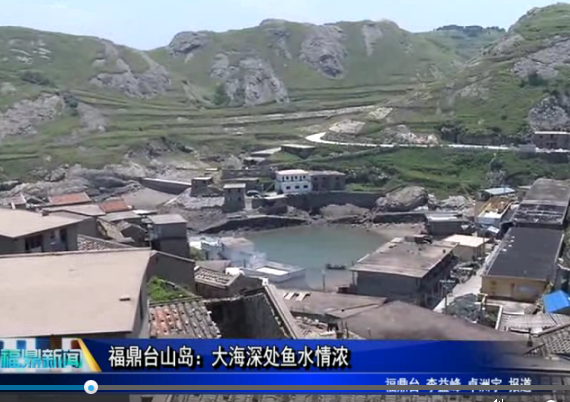 福鼎臺山島：大海深處魚水情濃