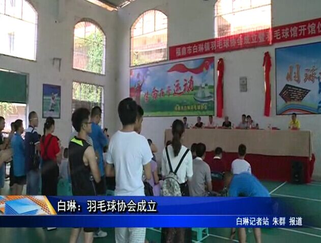 白琳：羽毛球協會成立