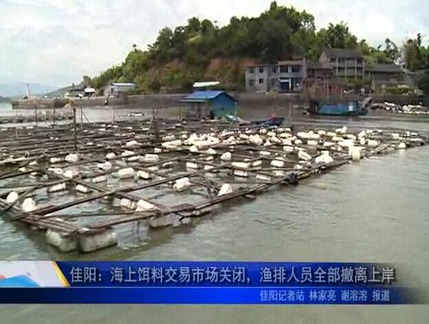 佳陽：海上餌料交易市場關閉，漁排人員全部撤離上岸