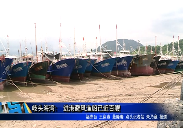 岐頭海灣: 進港避風漁船已近百艘