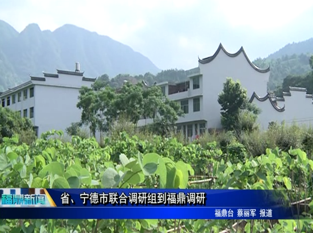 省、寧德市聯(lián)合調(diào)研組到福鼎調(diào)研