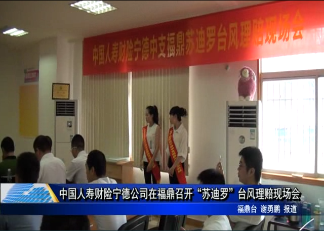 中國人壽財險寧德公司在福鼎召開“蘇迪羅”臺風理賠現場會
