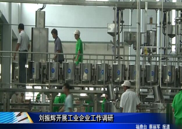 劉振輝開展工業企業工作調研