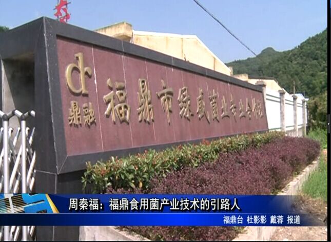 “市管優秀人才風采”----周秦福：福鼎食用菌產業技術的引路人