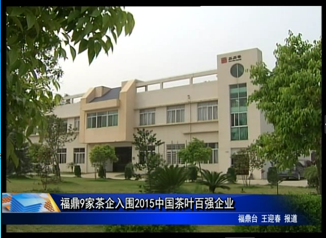 福鼎白茶：在行業領域和市場營銷上連創佳績