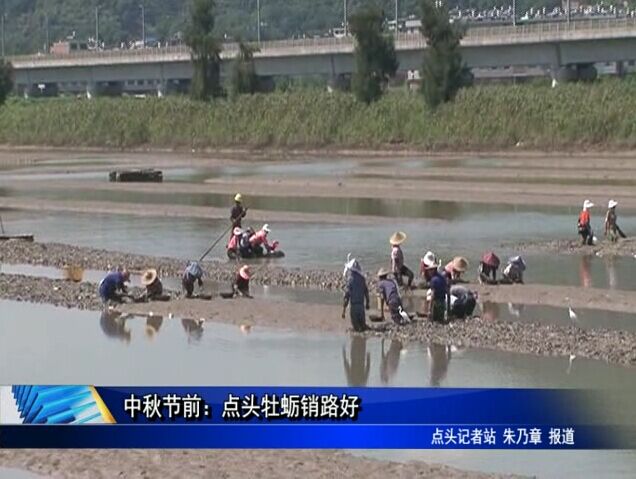 中秋節前：點頭牡蠣銷路好