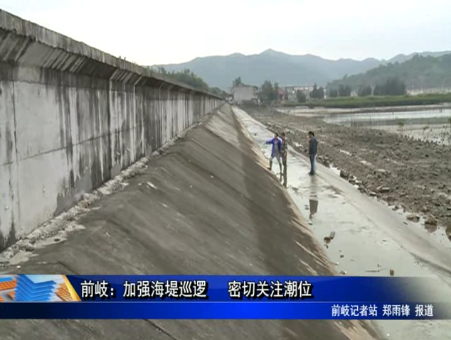 前岐：加強海堤巡邏 密切關注潮位