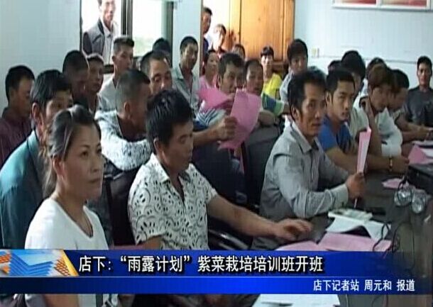 店下:“雨露計劃”紫菜栽培培訓班開班