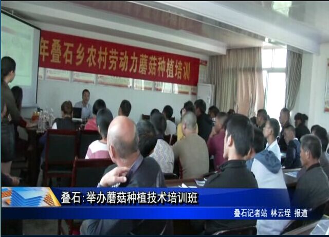 疊石:舉辦蘑菇種植技術培訓班