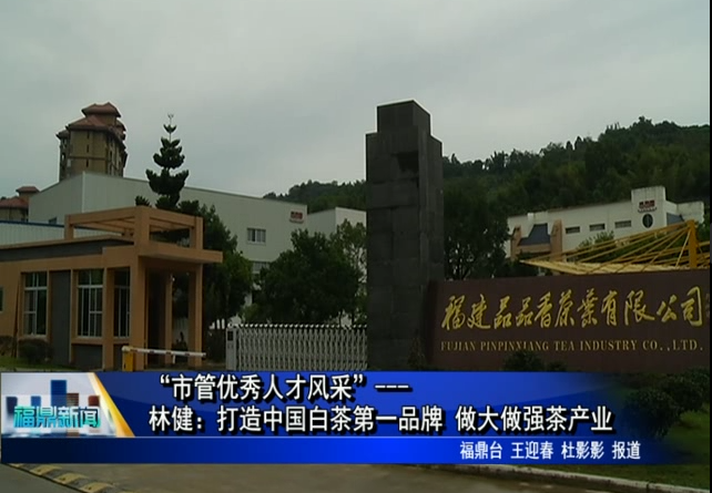 “市管優秀人才風采”---林健：打造中國白茶第一品牌 做大做強茶產業